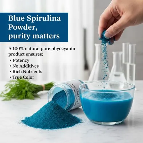 blue spirulina powder purity