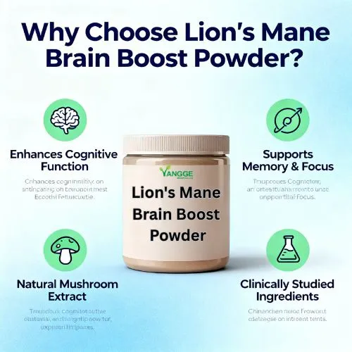 lions mane brain boost