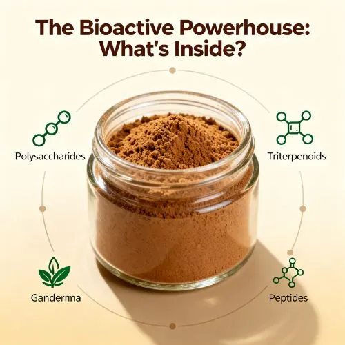 Ganoderma extract whats inside Ganoderma extract whats inside