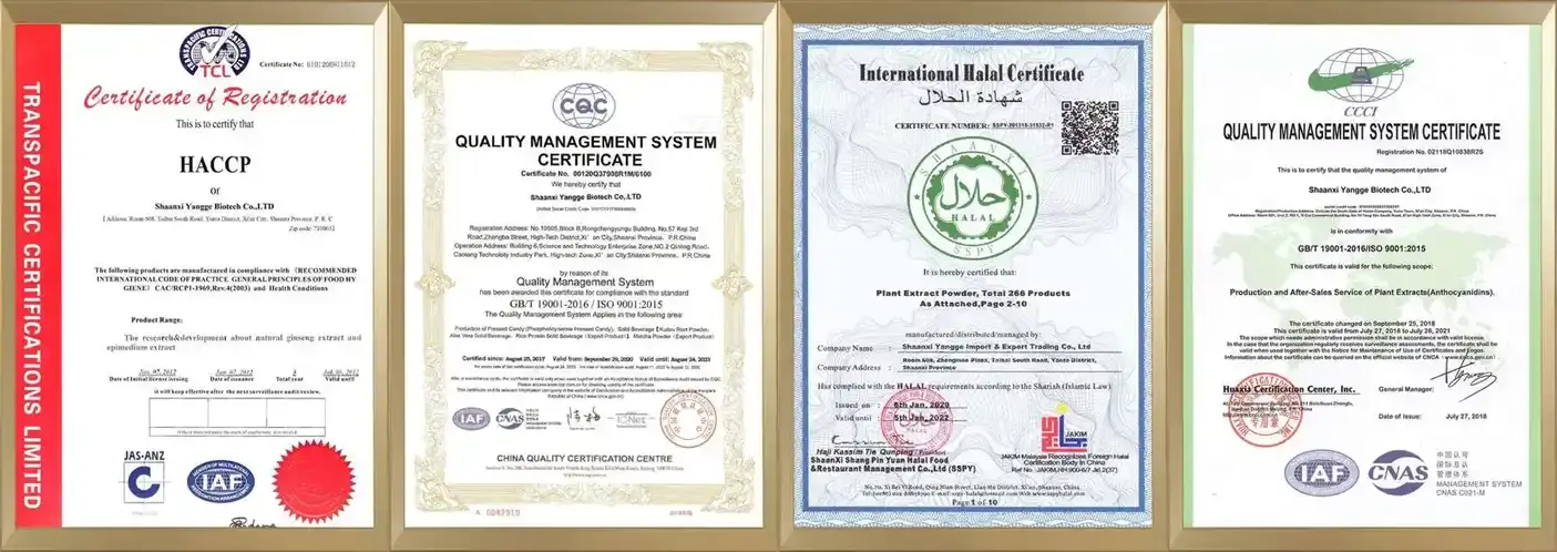 product-1-1 product-1-1