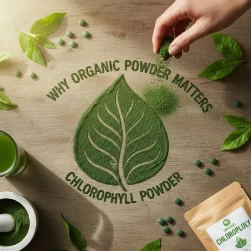 Why Organic Powder Matters