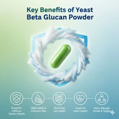 yeast extract powder benefits