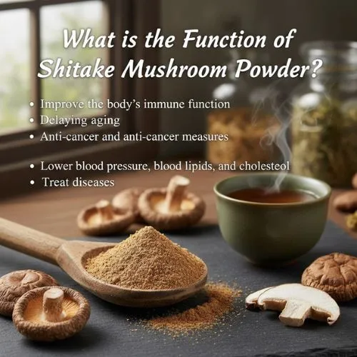 What is the Function of Shiitake Mushroom Powder
