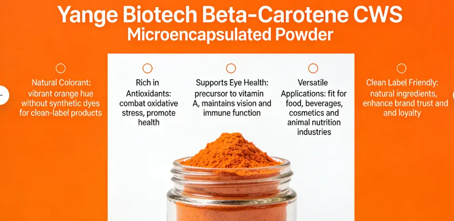 Beta carotene microencapsulated powder cws supplier Yangge Biotech Beta carotene microencapsulated powder cws supplier Yangge Biotech