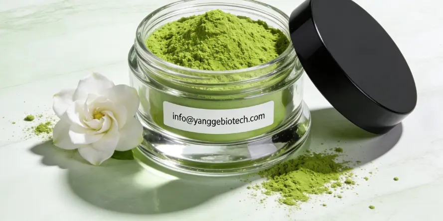 Gardenia Green Powder supplier Yangge Biotech Gardenia Green Powder supplier Yangge Biotech