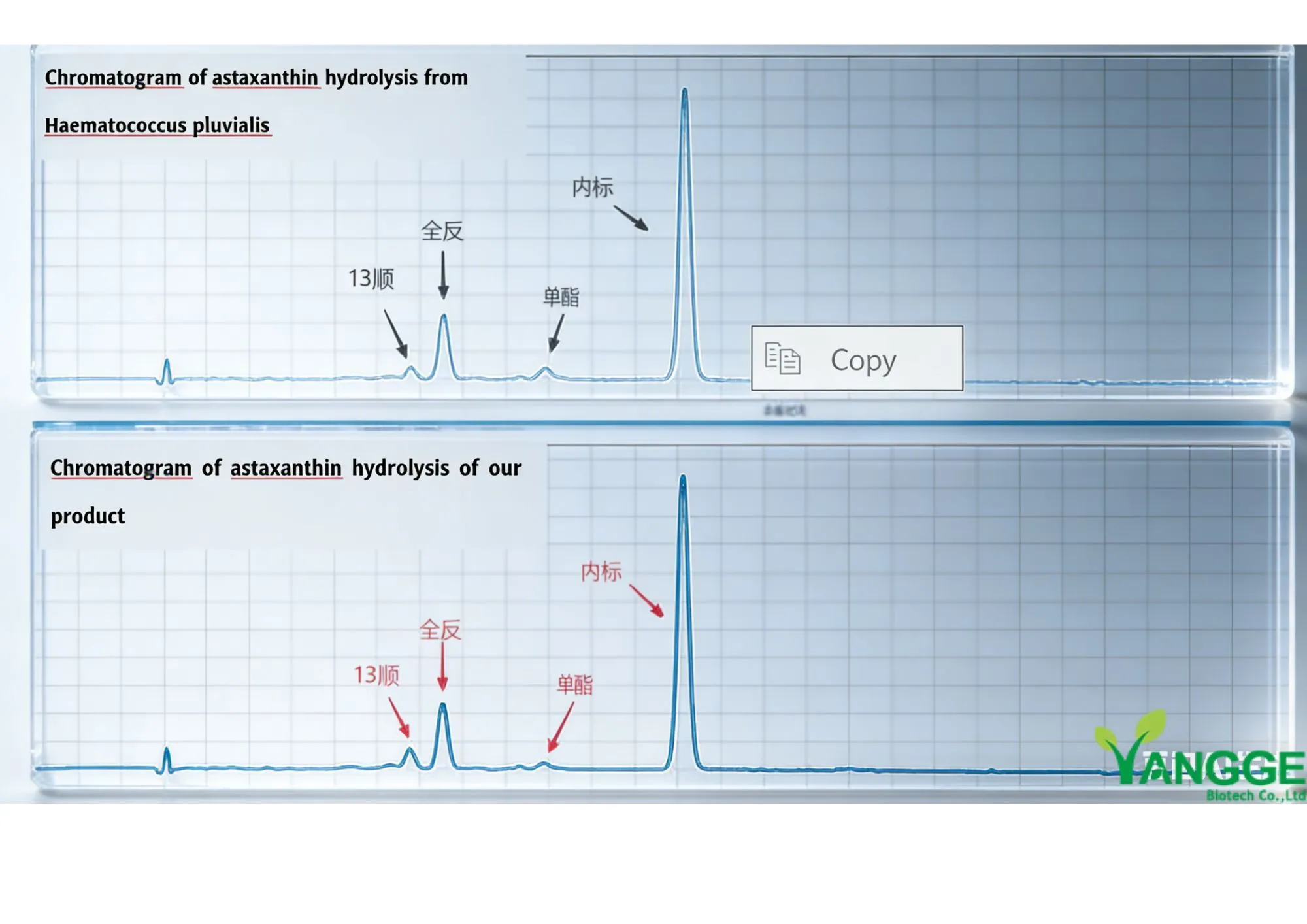 product-1-1 product-1-1