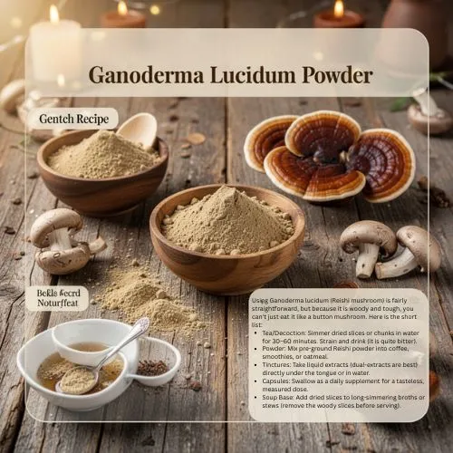 How to Use Ganoderma Lucidum (1)