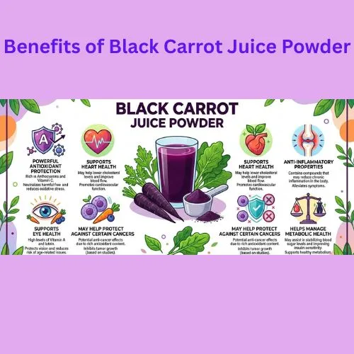 Benefits of Black Carrot Juice Powder Benefits of Black Carrot Juice Powder