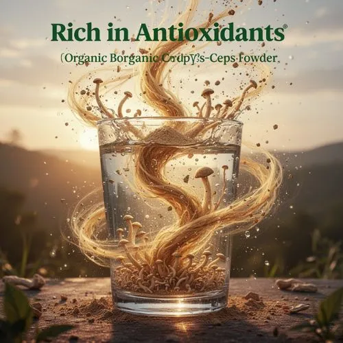 Rich in Antioxidants organic cordyceps powder