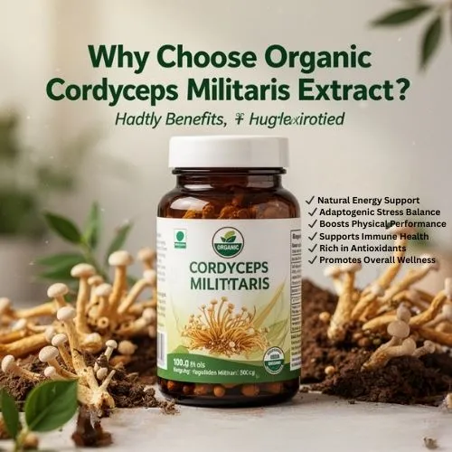 Why Choose Organic Cordyceps Militaris Extract Why Choose Organic Cordyceps Militaris Extract