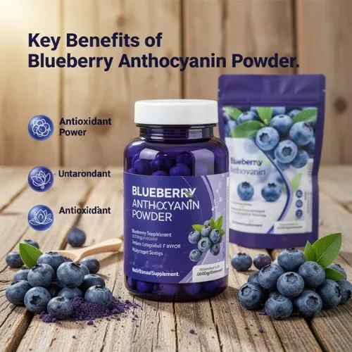 Key Benefits of Blueberry Anthocyanin Powder Key Benefits of Blueberry Anthocyanin Powder
