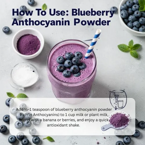 How to Use Blueberry Anthocyanin Powder