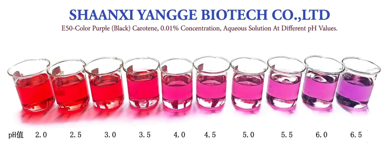 product-1-1 product-1-1