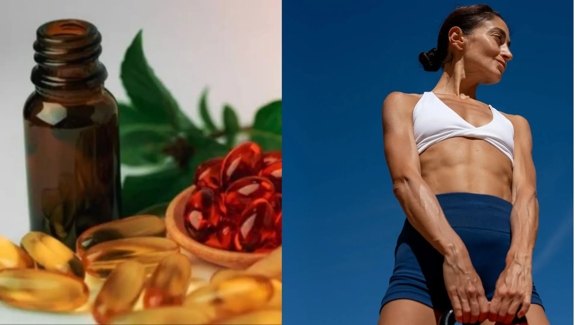 astaxanthin oil 10% manufacturer