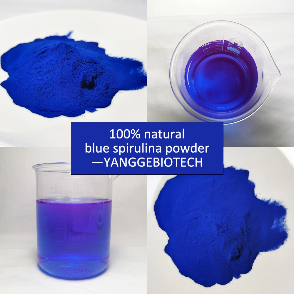 yangge biotech natural food color supplier yangge biotech natural food color supplier