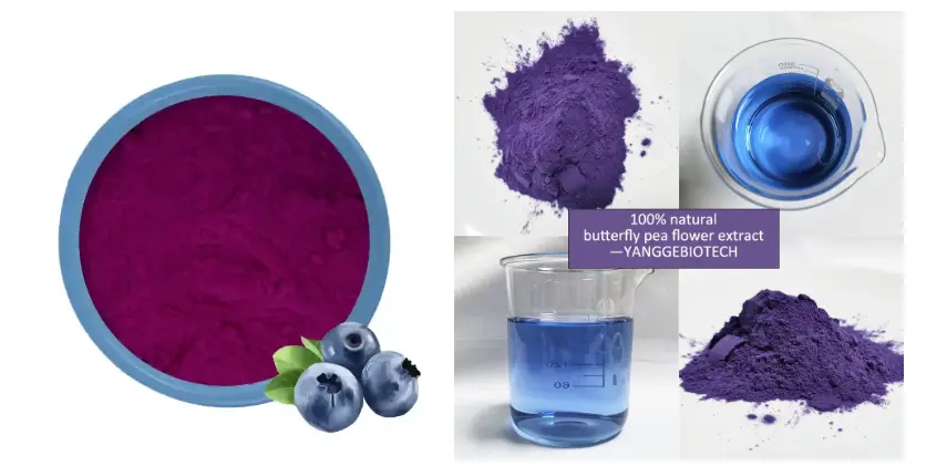 yangge biotech natural food color supplier yangge biotech natural food color supplier