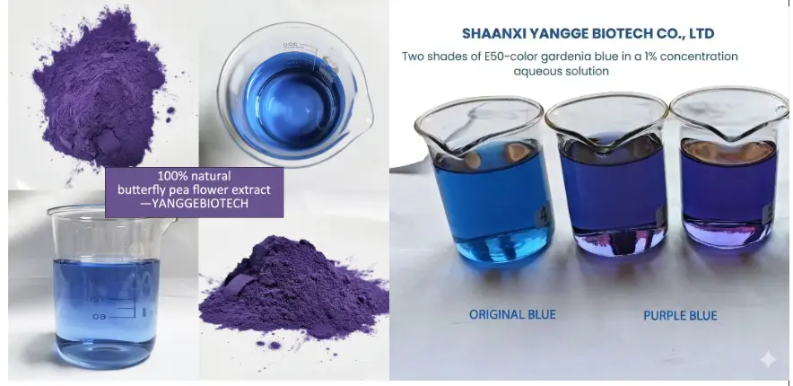 yangge biotech natural food color supplier yangge biotech natural food color supplier
