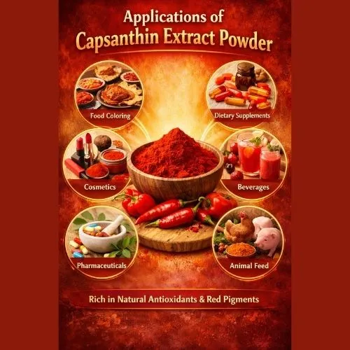Applications of Capsanthin Extract Powder