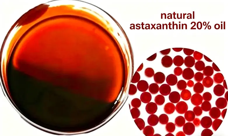 product-782-468 product-782-468