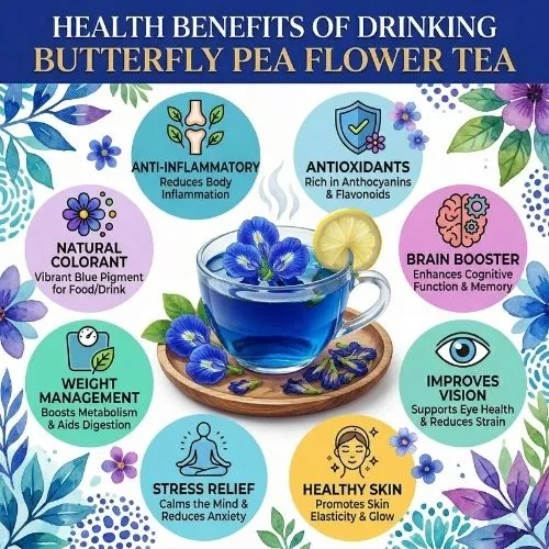 Health Benefits Of Drinking Butterfly Pea Flower Tea