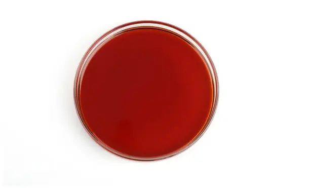 ioyile ye-yanggebiotech beta carotene 20% ioyile ye-yanggebiotech beta carotene 20%