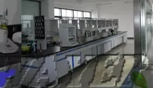 Zein Powder manufacturer Zein Powder manufacturer
