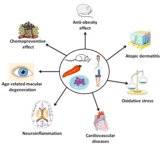 Carotenoids - ScienceDirect