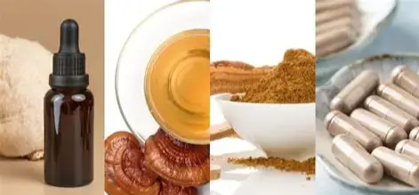 Mushroom Powder supplier Yangge Biotech Mushroom Powder supplier Yangge Biotech