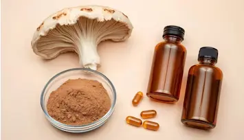 Mushroom Powder supplier Yangge Biotech Mushroom Powder supplier Yangge Biotech