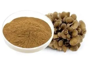 Herbo Nutra Maitake Mushroom Extract, Packaging Size: 25 Kg, Packaging Type: Hdpe Drum at ₹ 1600/kilogram in Greater Noida Herbo Nutra Maitake Mushroom Extract, Packaging Size: 25 Kg, Packaging Type: Hdpe Drum at ₹ 1600/kilogram in Greater Noida