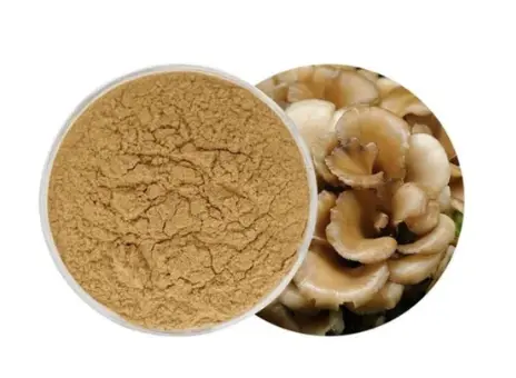 Maitake Mushroom Powder at best price in Greater Noida by Gracious Organic LLP | ID: 2854184856248 Maitake Mushroom Powder at best price in Greater Noida by Gracious Organic LLP | ID: 2854184856248