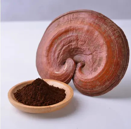 저렴한가격허브티성분구매,Broken Ganoderma Lucidum Spore Powder Will Be Absorbed By The Body 저렴한가격허브티성분구매,Broken Ganoderma Lucidum Spore Powder Will Be Absorbed By The Body