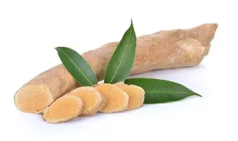 The curious case of the tongkat ali extract patent | Asia IP - Intellectual  Property News and Analysis
