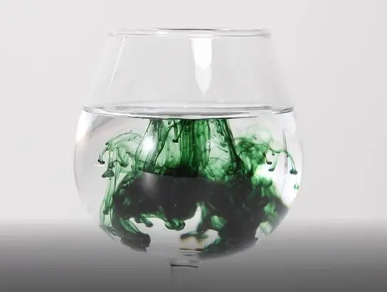 What is Liquid Chlorophyll Sodium Copper Chlorophyllin