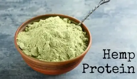 Hempiness Premium Hemp Protein Powder 1kg | 50% Protein Content!