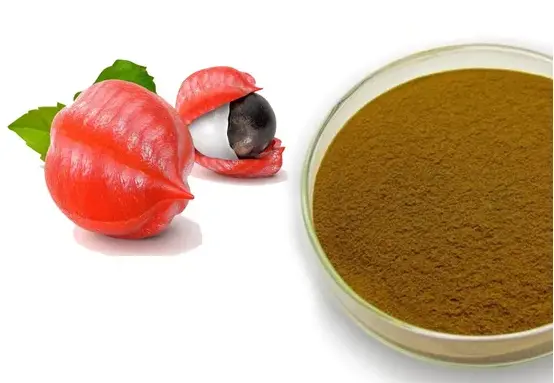 Atodiad Iechyd Colli Pwysau Detholiad Hadau Guarana Naturiol Detholiad Powdwr Guarana