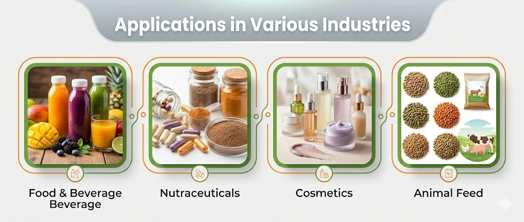 product-1-1