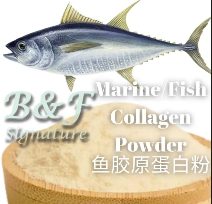 Fish Collagen Peptide Powder supplier Yangge Biotech Fish Collagen Peptide Powder supplier Yangge Biotech