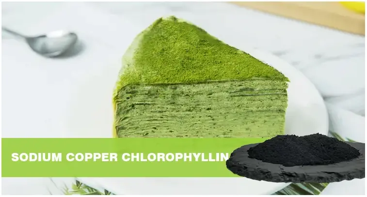Natrium Mis Xlorofillin: Təbiətdən həyata yaşıl elf - FocusHerb Natrium Mis Xlorofillin: Təbiətdən həyata yaşıl elf - FocusHerb