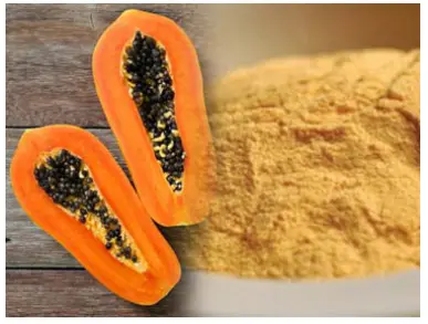 Papain powder supplier