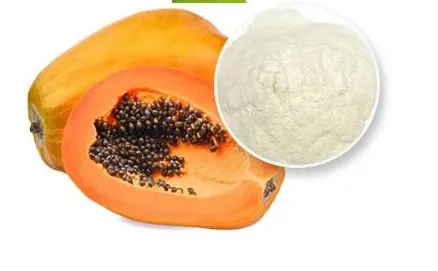 Papain powder supplier Papain powder supplier
