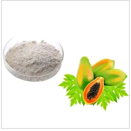 Papain Powder supplier Papain Powder supplier