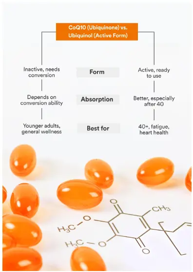 CoQ10 or Ubiquinol: What's the Difference and Which is Better? | Origins  Nutra