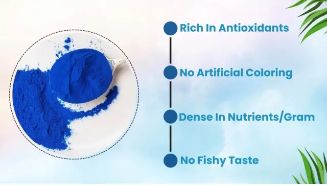 Amazon.com: AKI E18 Grade Blue Spirulina Powder Pack – Ultra Concentrated Phycocyanin Superfood – Deep Blue, Vegan & Non-GMO – Ideal for Smoothies, Ice Cream, Yogurt or Pastries – 1 oz/ 28.35g : Amazon.com: AKI E18 Grade Blue Spirulina Powder Pack – Ultra Concentrated Phycocyanin Superfood – Deep Blue, Vegan & Non-GMO – Ideal for Smoothies, Ice Cream, Yogurt or Pastries – 1 oz/ 28.35g :
