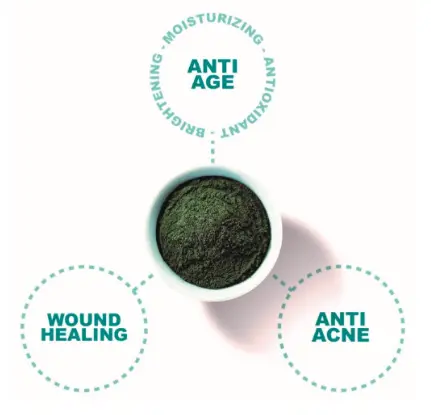 Spirulina for Skin Care: A Bright Blue Future Spirulina for Skin Care: A Bright Blue Future