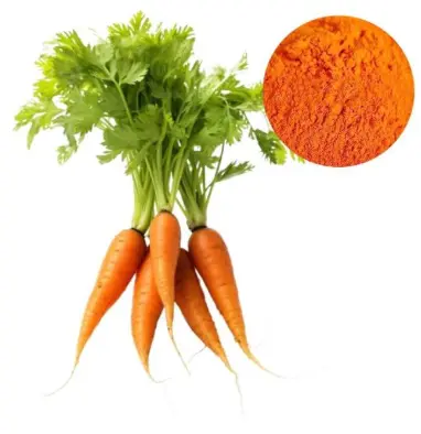 Beta-Carotene Powder (CAS 7235-40-7) Bulk Supplier | Oclean Nutra Beta-Carotene Powder (CAS 7235-40-7) Bulk Supplier | Oclean Nutra