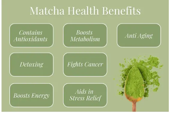 Eight Health Benefits of Matcha Green Tea Powder – Full Leaf Tea Company