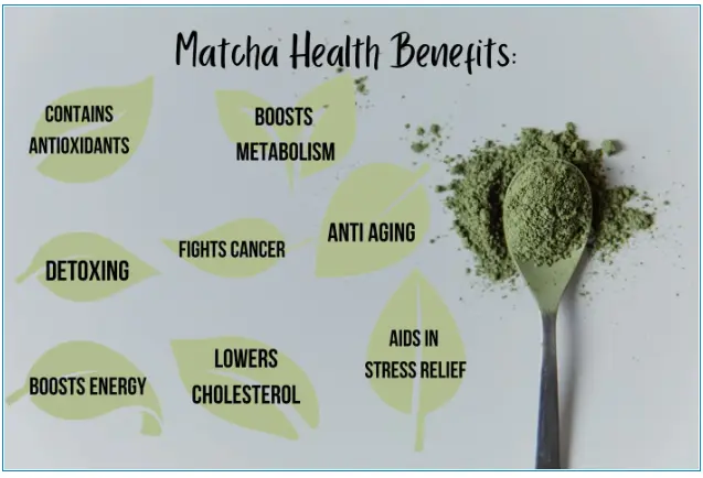 Macha Green Tea Benefits Best & Macho Panzon Letra Macha Green Tea Benefits Best & Macho Panzon Letra
