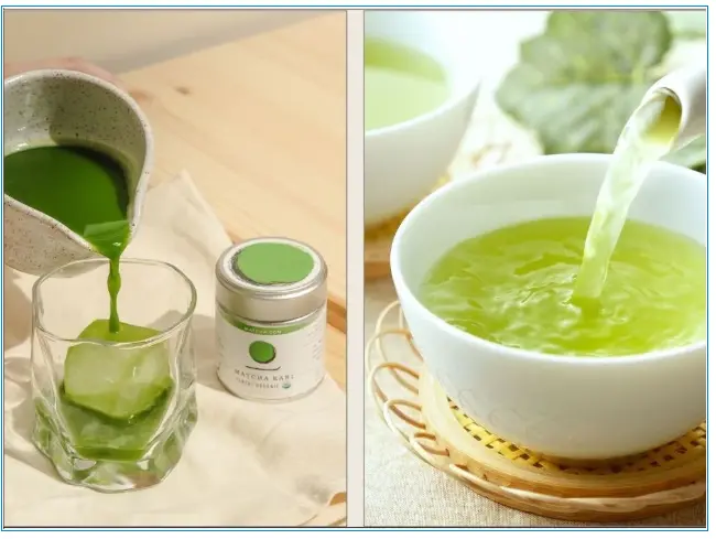 Matcha Powder vs. Green Tea | Key Differences and Benefits