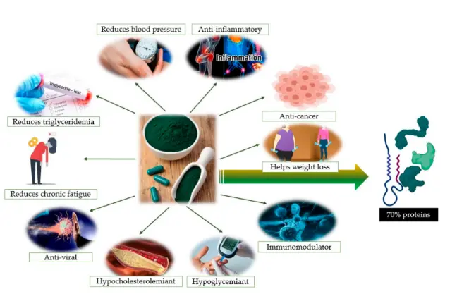 Are There Any Beneficial Effects of Spirulina Supplementation for Metabolic  Syndrome Components in Postmenopausal Women?